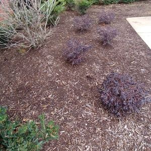 Meet your Posher, Pat